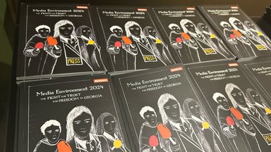 Media Enviroment Study 2024