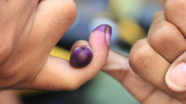 Philippines 2025 Elections 